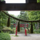 Senzoku Hachiman Shrine facing the pond