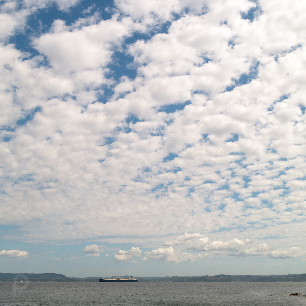 Sheep clouds