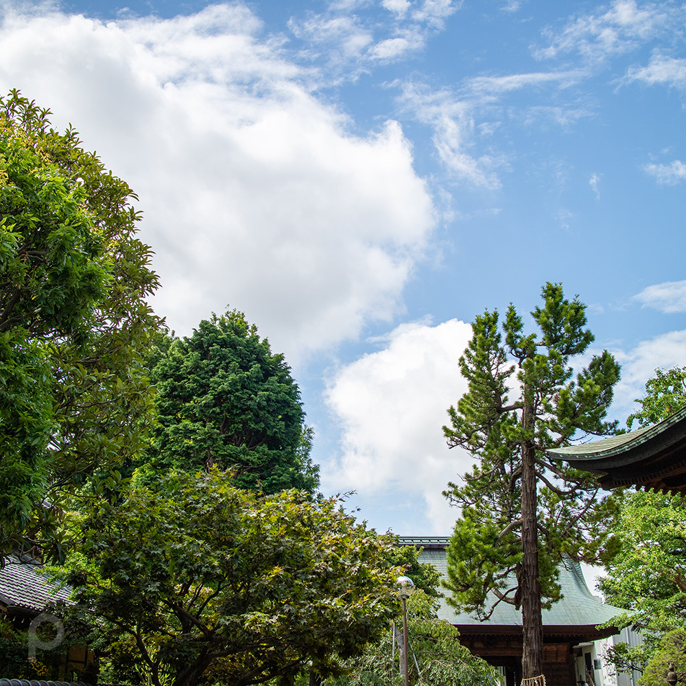 Summer sky in the temple