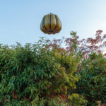 Pumpkin floating in the winter morning sky