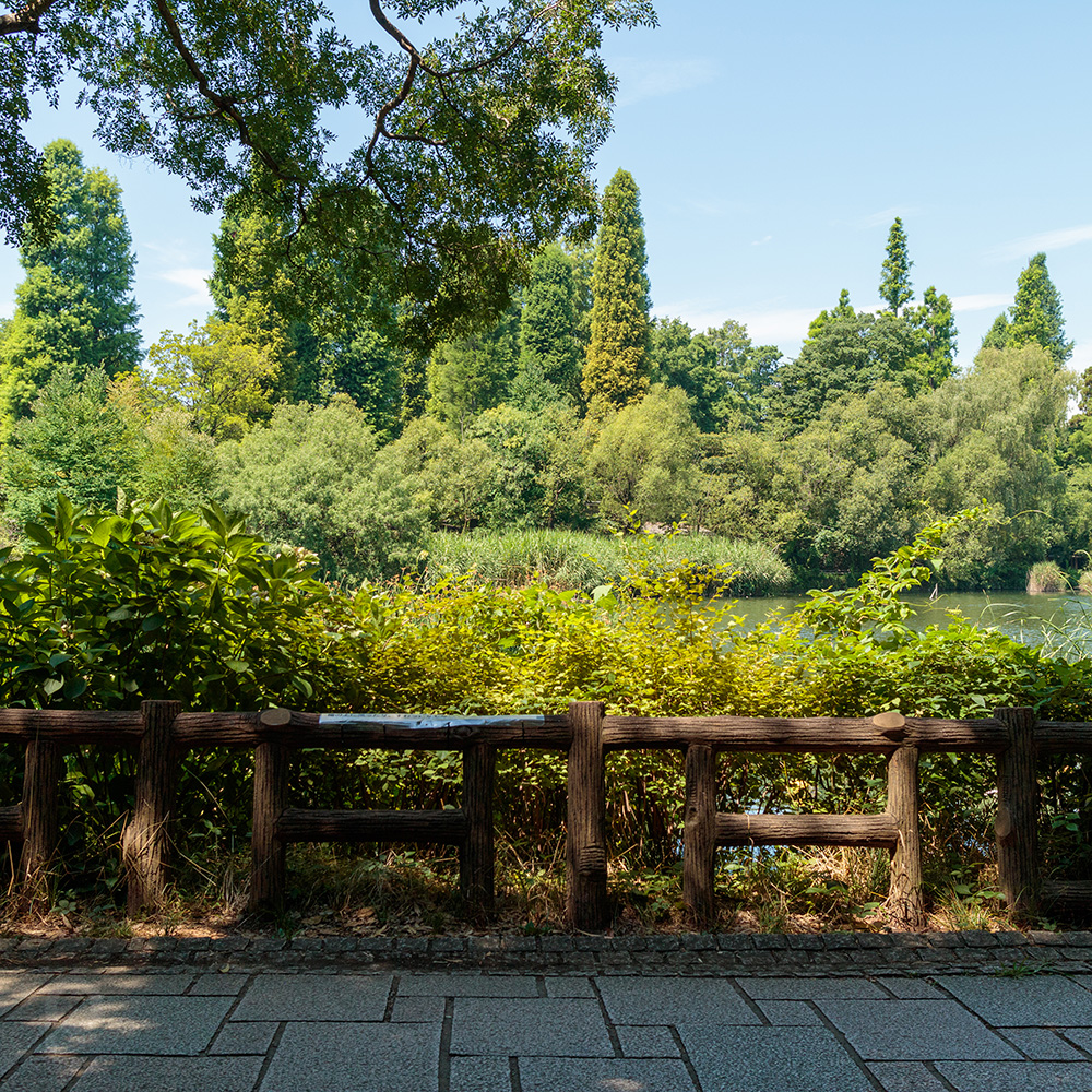 Inokashira Park