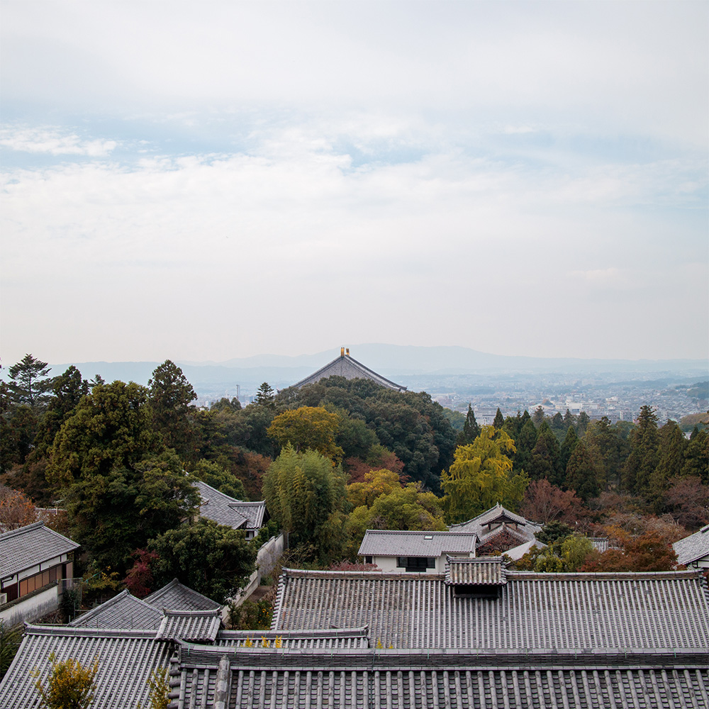 The view from Nigatsudo