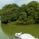 A swan boat waiting