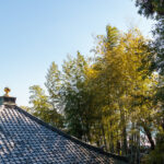 The tiled roof of the sutra storehouse, the bamboo forest and the sea