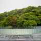 Museum rooftop fence and the forest