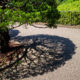 Ombre d’un arbre