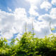Vigne de glycine et ciel d’été