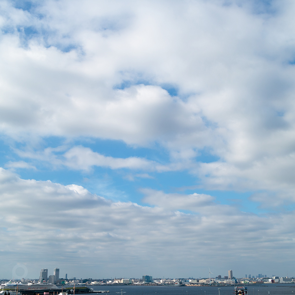 Le port en septembre