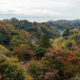 Collines d’automne