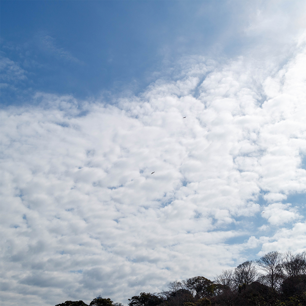 Nuages ​​altocumulus