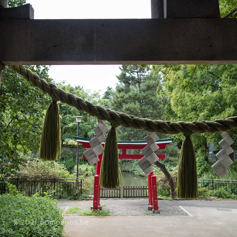 千束八幡神社の鳥居