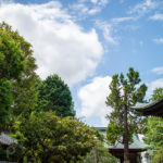 お寺の夏空