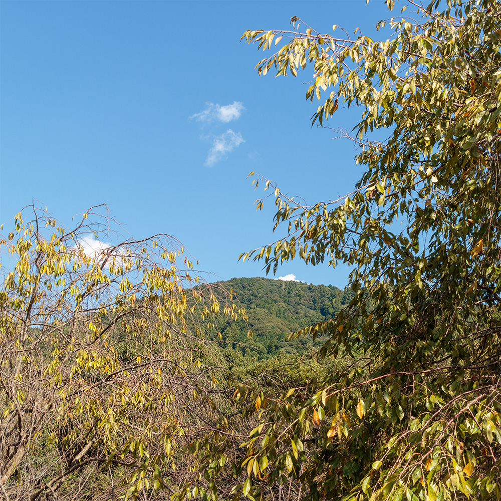 三輪山