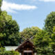 木嶋神社と狐の尾みたいな雲