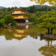 夏の朝の金閣寺